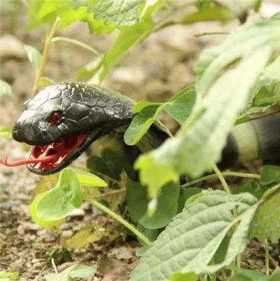 ⏰Last Day Promotion 49% OFF - High Imitation Snake Animal Toy Funn - Buy 2 Save 10% OFF