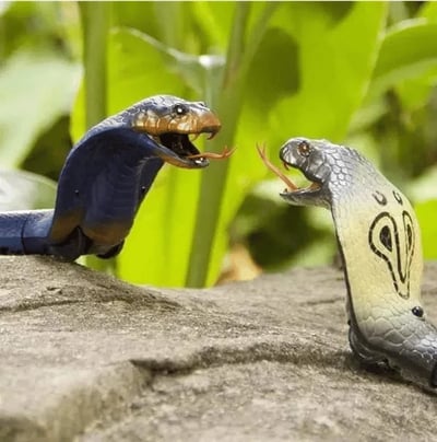 ⏰Last Day Promotion 49% OFF - High Imitation Snake Animal Toy Funn - Buy 2 Save 10% OFF